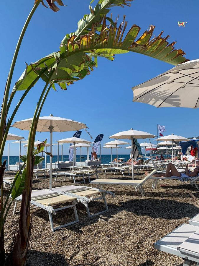 Sanbart Mare *